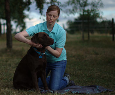 Chiropraktik Hund